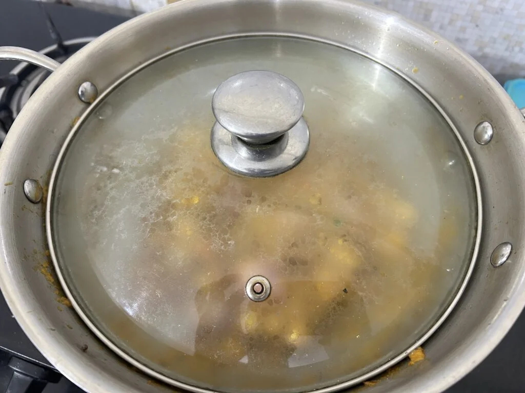 Veg Handi